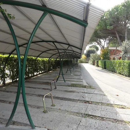 Perfect Surrounded By Nature ביביונה